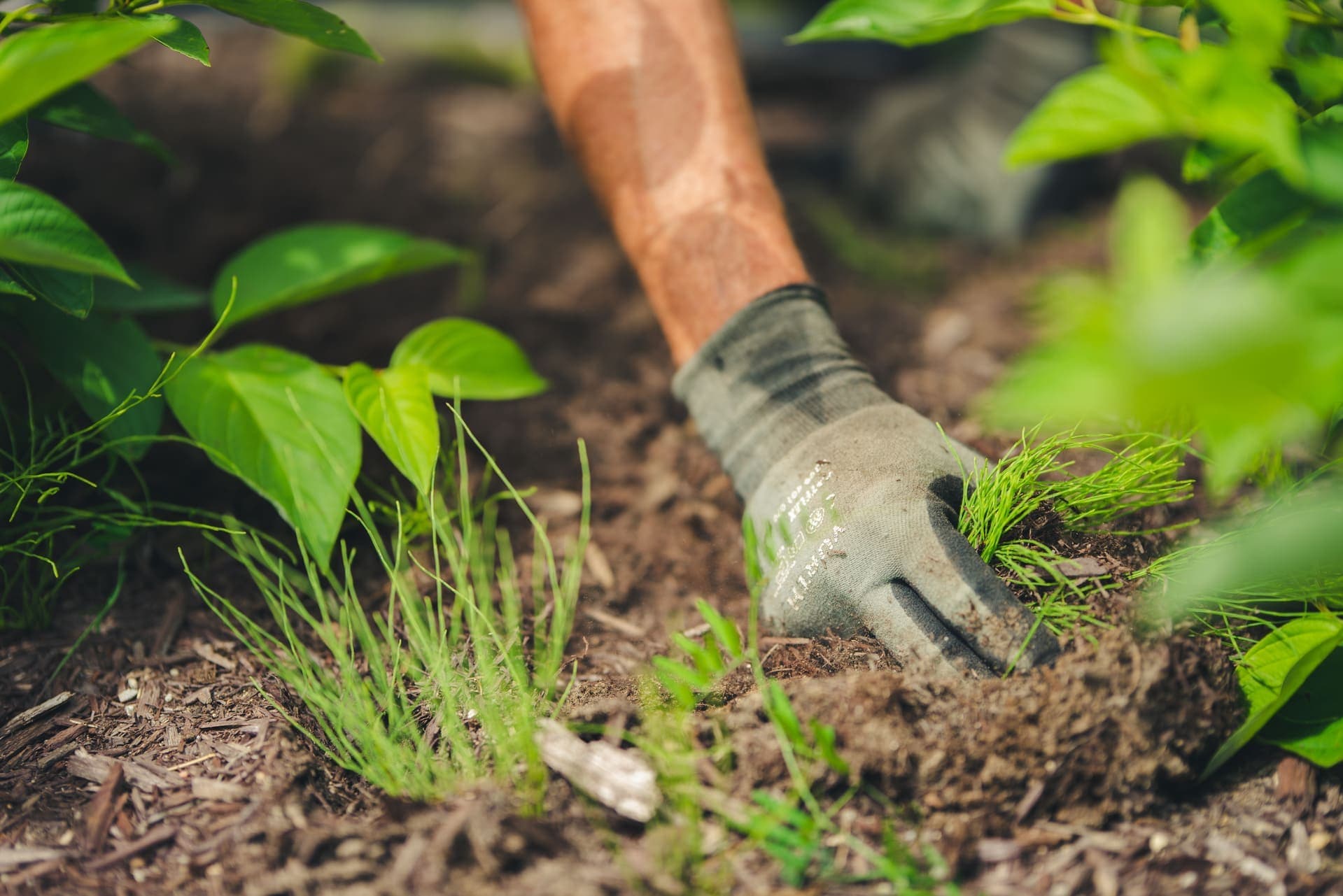 Carrière chez Grenon